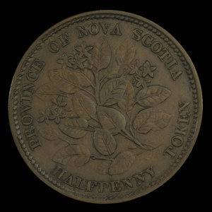 Canada, Province de la Nouvelle-Écosse, 1/2 penny : 1856