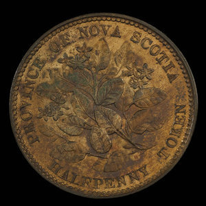 Canada, Province de la Nouvelle-Écosse, 1/2 penny : 1856