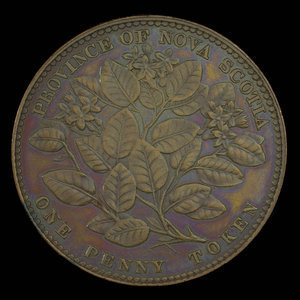 Canada, Province de la Nouvelle-Écosse, 1 penny : 1856