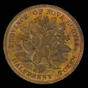Canada, Province de la Nouvelle-Écosse, 1/2 penny : 1856