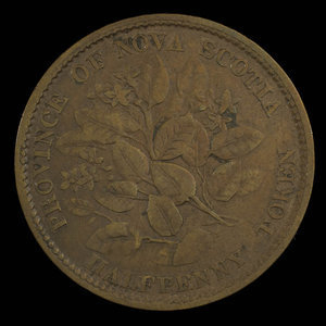 Canada, Province de la Nouvelle-Écosse, 1/2 penny : 1856