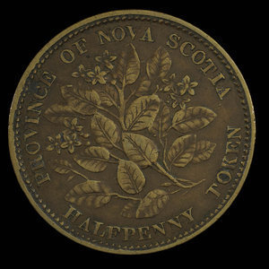 Canada, Province de la Nouvelle-Écosse, 1/2 penny : 1856