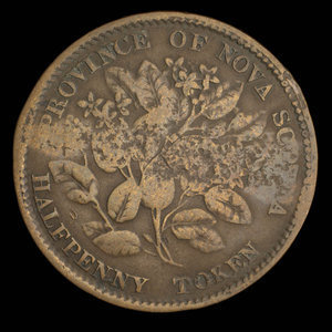 Canada, Province de la Nouvelle-Écosse, 1/2 penny : 1856