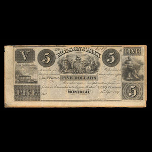 Canada, Molsons Bank, 5 dollars : 15 septembre 1837