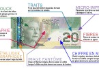 Glossaire visuel des détails de conception d’un billet de banque canadien : 2004, 20 $, recto