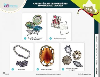 cartes présentant les cinq premières monnaies au Canada, coquilles d’ormeaux et de dentales, monnaie de carte, collier de wampum ou perles faites de coquillages, peau de castor étirée et parures de traite en argent de différentes formes comme des animaux