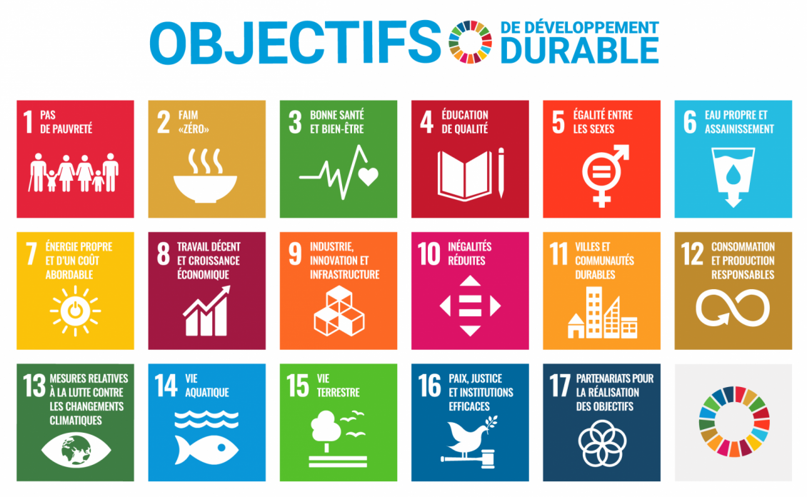 Une grille de carrés multicolores. Chaque objectif est numéroté et associé à une icône pour l’environnement, la santé et le bien-être.