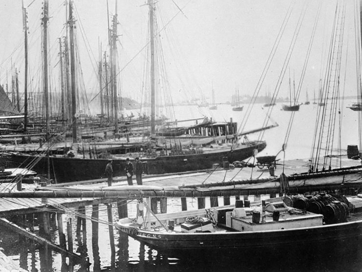 Photo en noir et blanc, ancienne, rangée de voiliers dans un port.