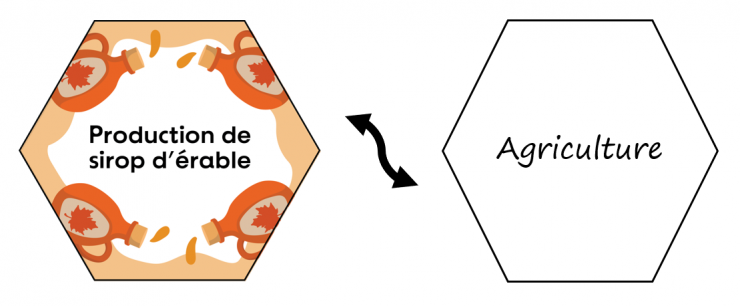 Deux côtés de l'hexagone sont représentés : d'un côté « Production de sirop d'érable » et de l'autre « Agriculture ». 
