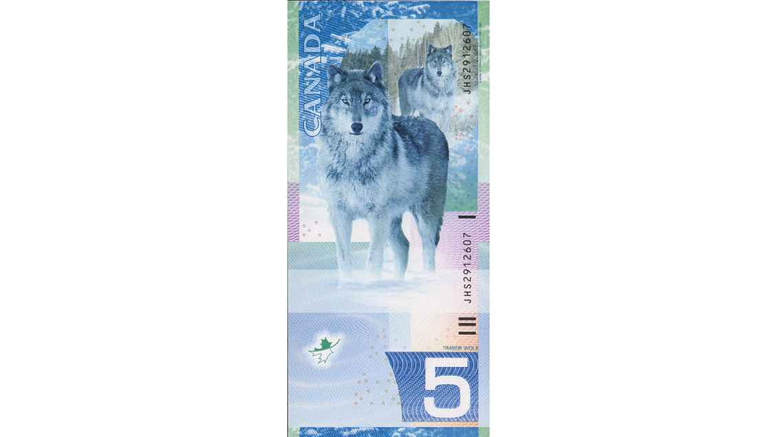 Billet vertical de 5 $ Modèle de billet de banque vertical, illustré d’un loup debout dans la neige devant une forêt enneigée.