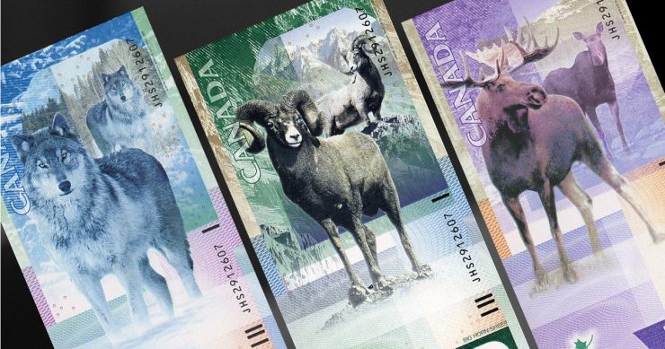 Trois billets de banque ornés d’un loup, d’un mouflon canadien et d’un élan.
