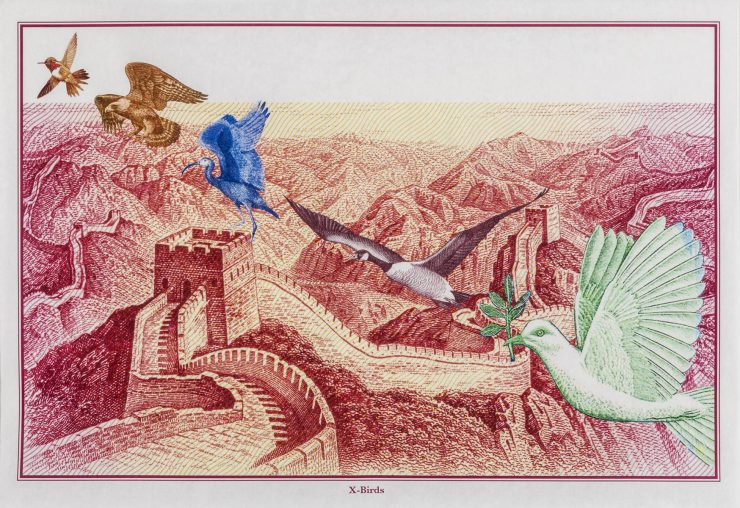 Impression, collage, images de billets, 5 oiseaux d’espèces différentes survolant un mur, dans un paysage montagneux.